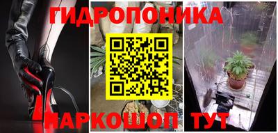 стаф Владивосток